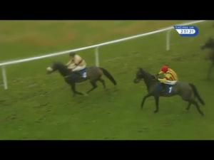 Video preview image for Ludlow 14:50 - Totepoolracing For All Your Racing News Handicap Chase