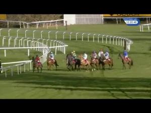 Video preview image for Sandown Park 12:20 - Barry Rawlings 'What A Year' 'National Hunt' Novices' Hurdle