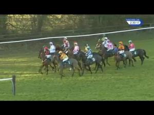 Video preview image for Warwick 14:30 - Vendman Handicap Hurdle