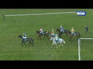 Video preview image for Warwick 15:00 - Tfg Group Handicap Chase