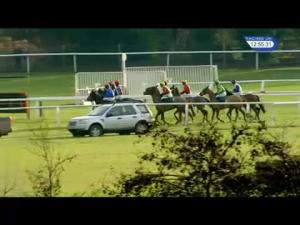Video preview image for Cheltenham 12:55 - Cf Roberts Electrical & Mechanical Services Mares' Handicap Chase