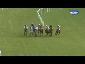 Video preview image for Carlisle 14:40 - Carlisle Annual Members Chase (Novices' Limited Handicap)