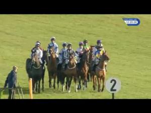 Video preview image for Newbury 12:20 - Federation Of Bloodstock Agents Juvenile Hurdle
