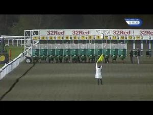 Video preview image for Kempton Park 17:10 - 32Red/british Stallion Studs EBF Maiden Stakes (Div 2)