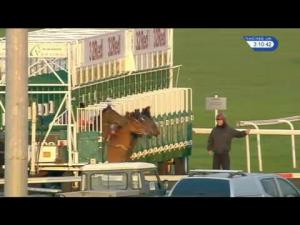 Video preview image for Kempton Park 15:10 - 32Red/british Stallion Studs EBF Maiden Fillies' Stakes (Plus 10) (Div 1)
