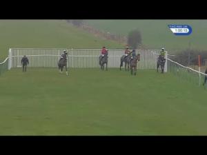 Video preview image for Warwick 13:00 - Local Parking Security Novices' Chase