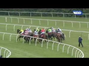 Video preview image for Newbury 13:15 - Betfred Mandarin Handicap Chase
