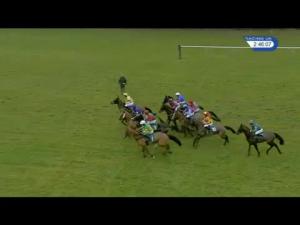 Video preview image for Warwick 14:45 - Lps Handicap Chase