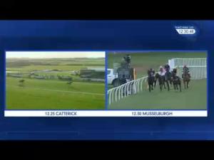 Video preview image for Musselburgh 12:30 - Totepool First Foot Juvenile Hurdle (2)