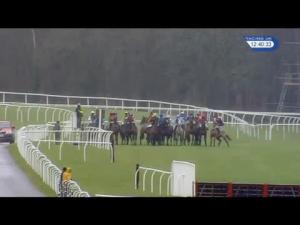 Video preview image for Exeter 12:40 - Passage House Inn Topsham 'National Hunt' Novices' Hurdle (4)