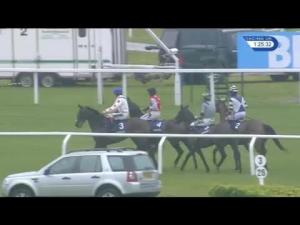 Video preview image for Cheltenham 13:25 - Betbright Dipper Novices' Chase (Grade 2) (1)