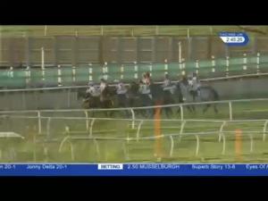 Video preview image for Catterick Bridge 14:45 - Damian McGuigan Memorial Handicap Chase (4)