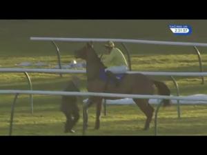 Video preview image for Ayr 14:30 - Racing UK Winter Season Ticket Handicap Hurdle (3)