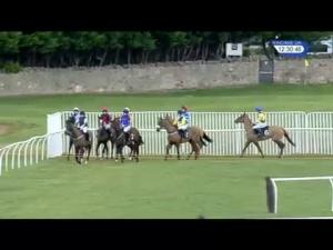 Video preview image for Musselburgh 12:30 - racinguk.com/hd Maiden Hurdle (5) (Div 1)