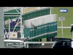 Video preview image for Kempton Park 14:30 - Better Odds With Matchbook Betting Exchange Handicap (6)