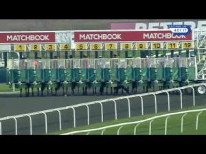 Video preview image for Kempton Park 16:00 - Matchbook Traders Conference Handicap (5)