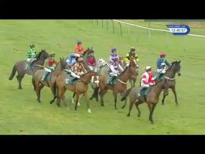 Video preview image for Warwick 12:40 - Betfred "Goals Galore" Novices' Handicap Hurdle (4)