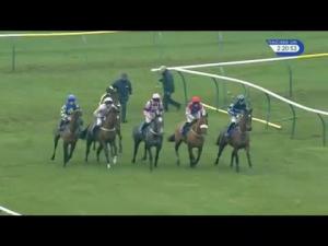 Video preview image for Ayr 14:20 - racinguk.com Novices' Chase (4)