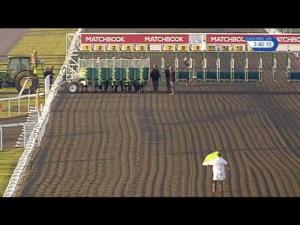 Video preview image for Kempton Park 15:40 - Smarter Bets With Matchbook Betting Exchange Conditions Stakes (Qualifier) (2)