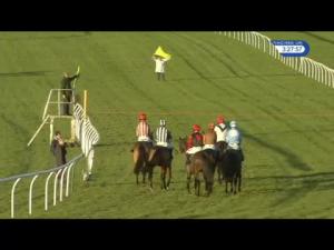 Video preview image for Newbury 15:25 - Betfred 'January Sale' British Stallion Studs EBF Mares' 'National Hunt' Novices' Hurdle (4)