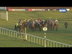 Video preview image for Newbury 15:55 - Betfred TV Standard Open National Hunt Flat (6)