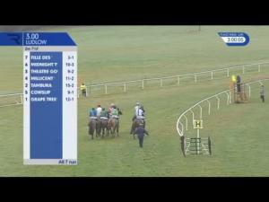 Video preview image for Ludlow 15:00 - Racing UK Winter Season Ticket Mares' Handicap Hurdle (3)