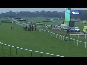 Video preview image for Haydock Park 16:20 - Peover Handicap Hurdle (3)