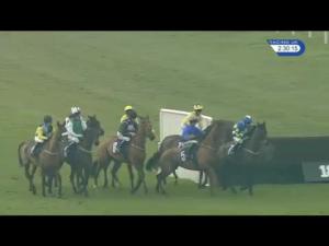 Video preview image for Wetherby 14:30 - Totepool Medieval Day - Saturday 4th February Handicap Chase (Qualifier) (4)