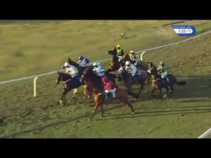 Video preview image for Ludlow 15:25 - Perrott Properties Chase (Novices' Limited Handicap) (4)