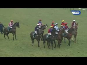Video preview image for Warwick 12:55 - Cameron Smart Rainbow Race Juvenile Hurdle (4)