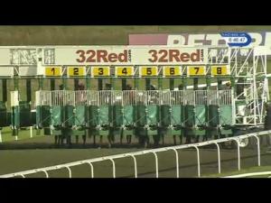 Video preview image for Kempton Park 18:45 - 32Red On The App Store Maiden Stakes (5)