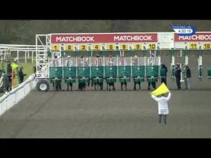 Video preview image for Kempton Park 16:20 - Winners Welcome At Matchbook Exchange Handicap (4)