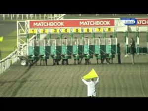 Video preview image for Kempton Park 17:20 - Matchbook Betting Podcast Handicap (6)