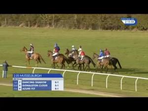 Video preview image for Wetherby 14:15 - totepoolliveinfo.com Novices' Hurdle (4)