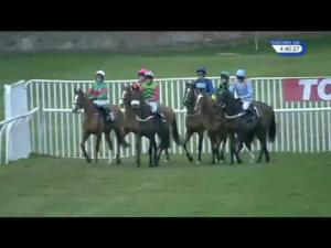 Video preview image for Musselburgh 16:40 - Totepool Standard Open National Hunt Flat (4)