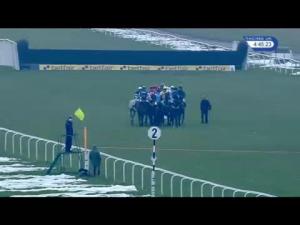 Video preview image for Newbury 16:45 - Betfair Ready? Bumper (Standard Open National Hunt Flat) (Listed) (1)