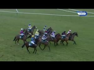 Video preview image for Warwick 16:55 - Roa/Racing Post Owners Jackpot Handicap Hurdle (4)