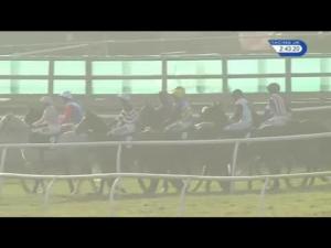 Video preview image for Catterick Bridge 14:40 - Dine and View At Catterick Races Handicap Hurdle (4)
