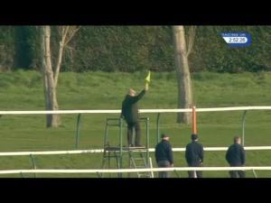 Video preview image for Ayr 14:50 - racinguk.com/daypass Mares' Maiden Hurdle (5)