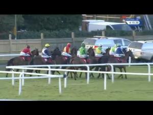 Video preview image for Sandown Park 16:15 - Alanbrooke Handicap Chase (Qualifier) (3)
