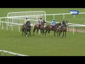 Video preview image for Haydock Park 13:30 - Betfred TV Victor Ludorum Juvenile Hurdle (2)