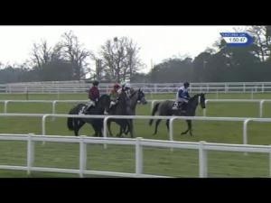 Video preview image for Ascot 13:50 - Sodexo Reynoldstown Novices' Chase (Grade 2) (1)