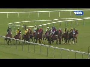Video preview image for Haydock Park 15:15 - Betfred Grand National Trial Handicap Chase (Grade 3) (1)