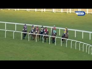 Video preview image for Ascot 16:45 - Neptune Investment Management Mares' Standard Open National Hunt Flat (4)