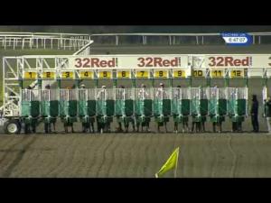 Video preview image for Kempton Park 18:45 - 100% Profit Boost At 32redsport.com Handicap (5)