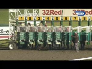 Video preview image for Kempton Park 19:15 - 32red.com Handicap (Qualifier) (4)