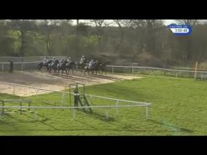 Video preview image for Carlisle 15:00 - Roa/Racing Post Owners' Jackpot Handicap Chase (Qualifier) (4)