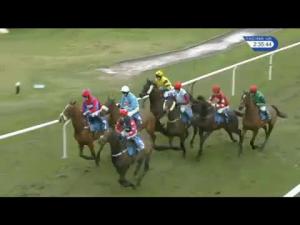 Video preview image for Ludlow 14:35 - Ludlow Racecourse Bookmakers Chase (Novices' Limited Handicap) (4)