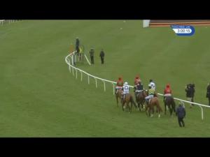 Video preview image for Kempton Park 15:00 - Sky Bet Dovecote Novices' Hurdle (Grade 2) (1)