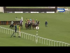 Video preview image for Newbury 14:10 - Pheasant Inn Juvenile Hurdle (4)